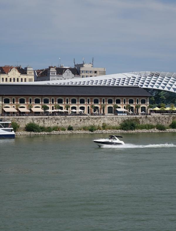 A whale on the Danube